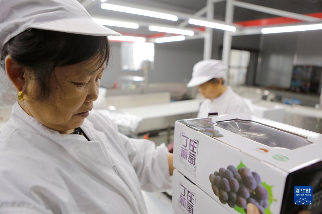 斗三公开户网址